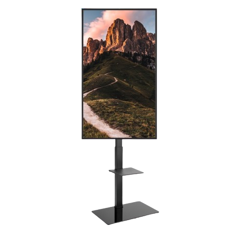 Ecran Vitrine 43 Pouces