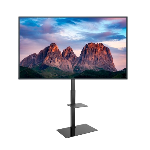 Ecran vitrine 55 pouces