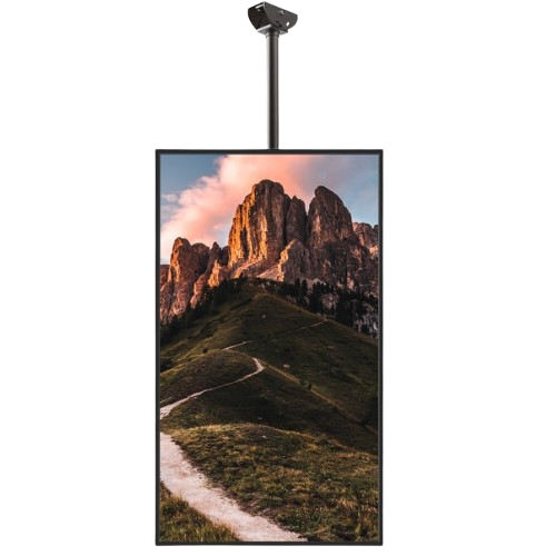 Ecran vitrine support plafond 49 pouces